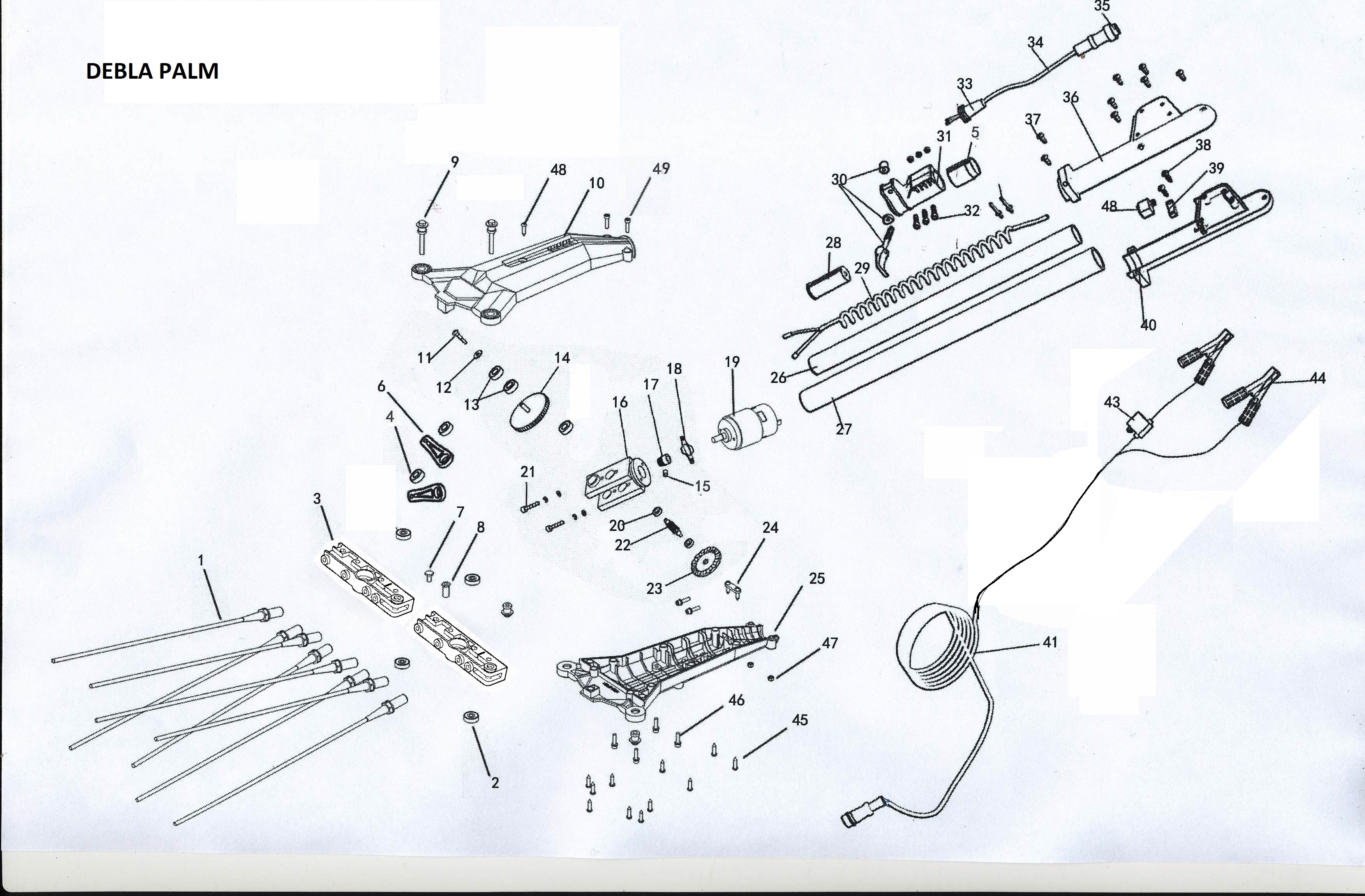 DEBLA PALM