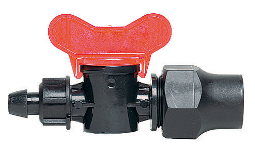 ΒΑΝΑΚΙ ΠΙΠΕΤΑ ΡΑΚΟΡ