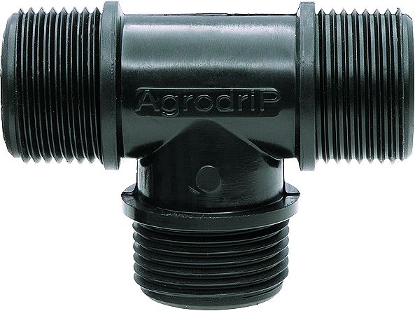 ΤΑΦ ΣΩΜΑ ΡΕ Α-Α-Α