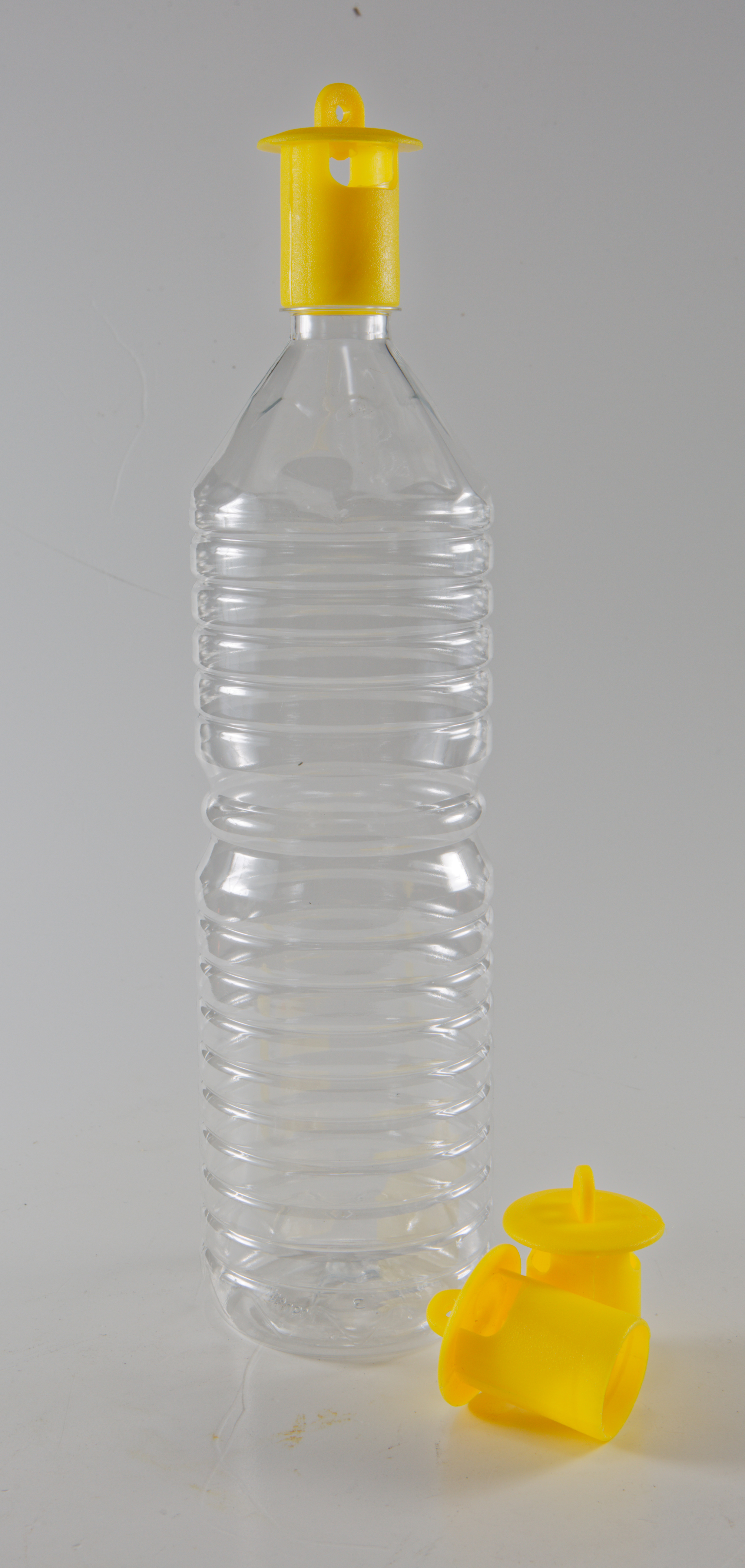 ΕΝΤΟΜΟΠΑΓΙΔΑ